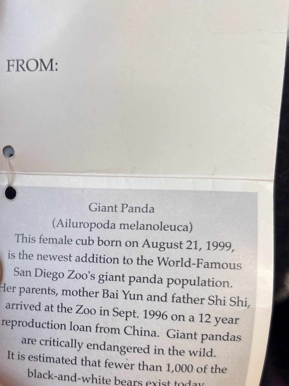 Aurora Giant PANDA HUA MEI San Diego ZOO endangered 1999 NWT - Picture 4 of 10